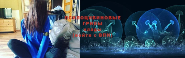 МДМА Богородицк