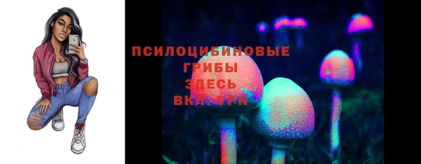 МДМА Богородицк