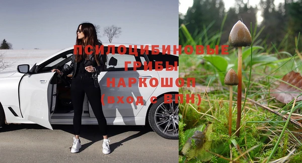 a pvp Богданович