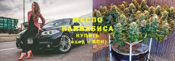индика Бугульма