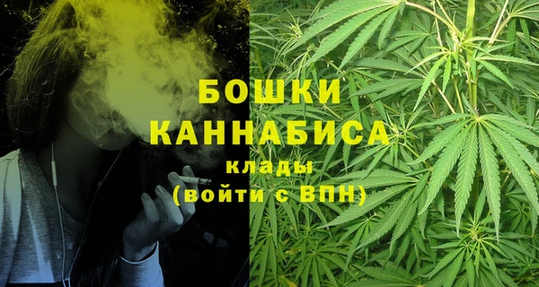 индика Бугульма