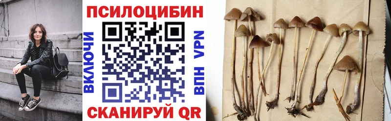 где купить наркоту  Вязники  Галлюциногенные грибы ЛСД 